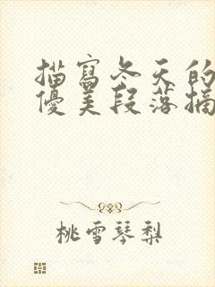 描写冬天的雪景优美段落摘抄