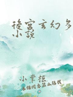 后宫玄幻多女主小说