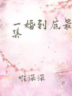 一婚到底最后一集