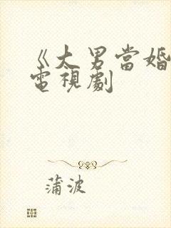 《大男当婚》2电视剧