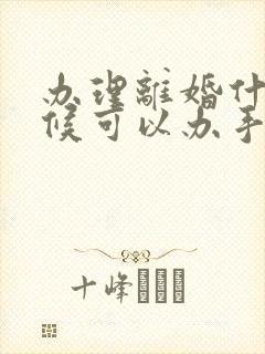 办理离婚什么时候可以办手续