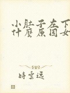 小肚子左下方痛什么原因女性