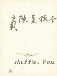 良陈美锦全本下载