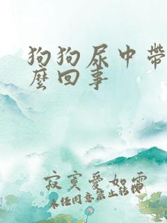 狗狗尿中带血怎么回事