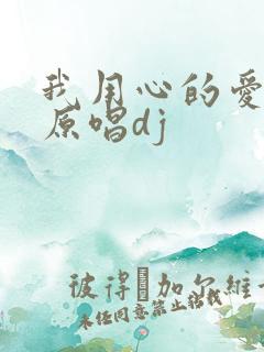 我用心的爱着你原唱dj