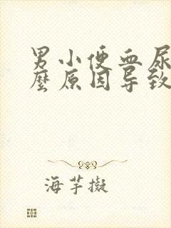 男小便血尿是什么原因导致的