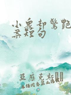 小众却惊艳的文案短句