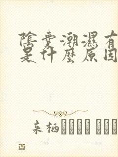 阴囊潮湿有异味是什么原因导致的