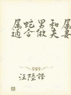 属蛇男和属马女适合做夫妻吗