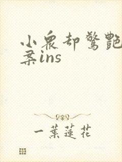 小众却惊艳的文案ins