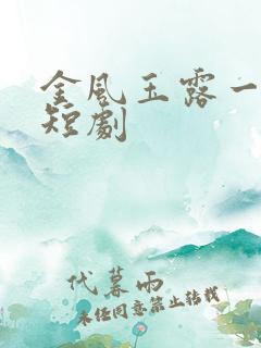 金风玉露一相逢短剧