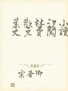 叶欢林汐小说全文免费阅读