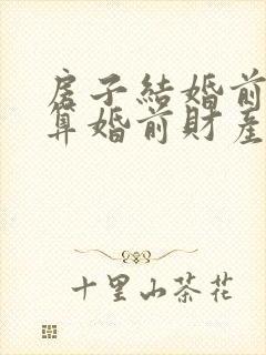 房子结婚前买的算婚前财产吗