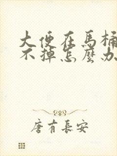 大便在马桶里冲不掉怎么办