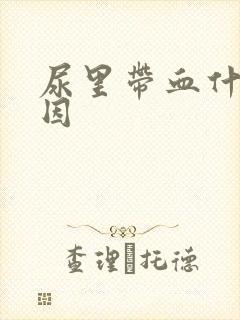 尿里带血什么原因