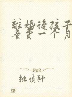 离婚后孩子的抚养费一个月多少钱