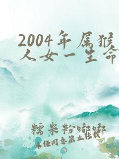 2004年属猴人女一生命运怎样