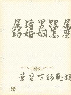 属猪男跟属鼠女的婚姻怎么样