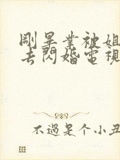 刚毕业被姐姐拉去闪婚电视剧