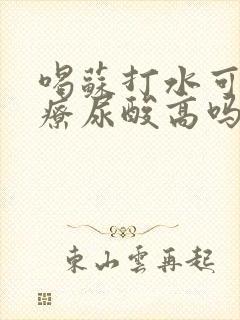 喝苏打水可以治疗尿酸高吗