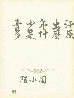 青少年出汗特别多是什么原因