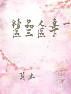 精品人妻一区二区三区下