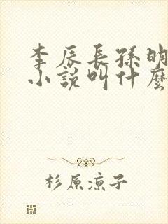 李辰长孙明玥的小说叫什么