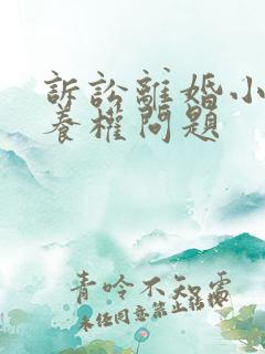 诉讼离婚小孩抚养权问题