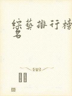 综艺排行榜前十名