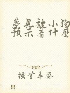 梦见被小狗咬了预示着什么