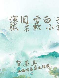 浑圆 雪白 滑腻 柔软 小说h