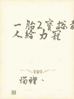 一胎2宝总裁大人给力宠