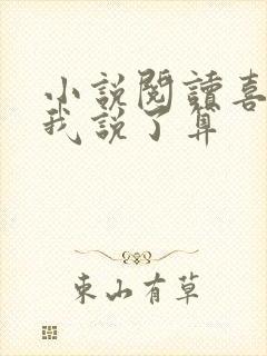 小说阅读喜欢你我说了算