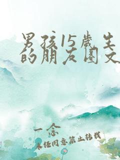 男孩15岁生日的朋友圈文案