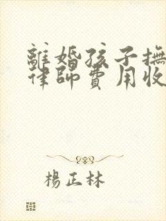 离婚孩子抚养权律师费用收取标准