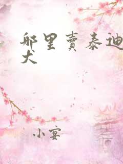 哪里卖泰迪犬幼犬