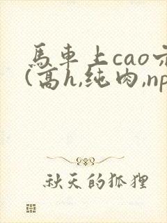 马车上cao穴(高h,纯肉,np)