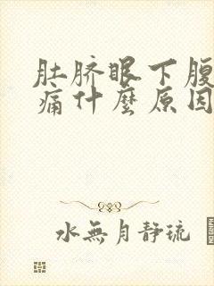 肚脐眼下腹部疼痛什么原因