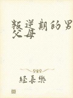 叛逆期的男孩打父母