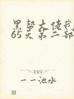 黑帮大佬我的365天第二部