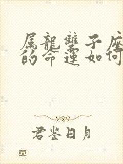 属龙双子座一生的命运如何