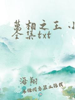万相之王 小说全集txt