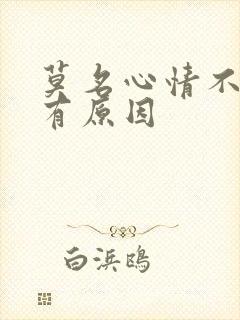 莫名心情不好没有原因