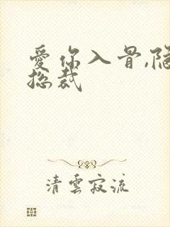 爱你入骨,隐婚总裁