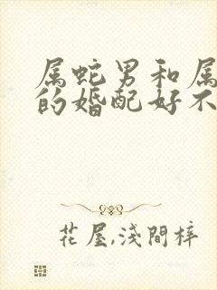 属蛇男和属蛇女的婚配好不好