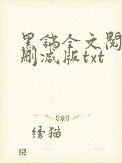 黑锅全文阅读无删减版txt
