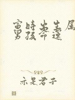 寅时出生属蛇的男孩命运