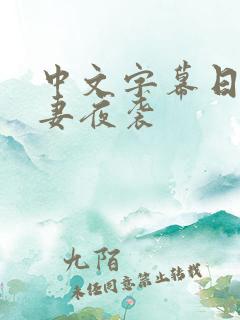 中文字幕日本人妻夜袭