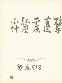 小肚子有点胀痛什么原因导致的女性