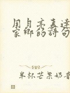 用月亮表达思念家乡的诗句